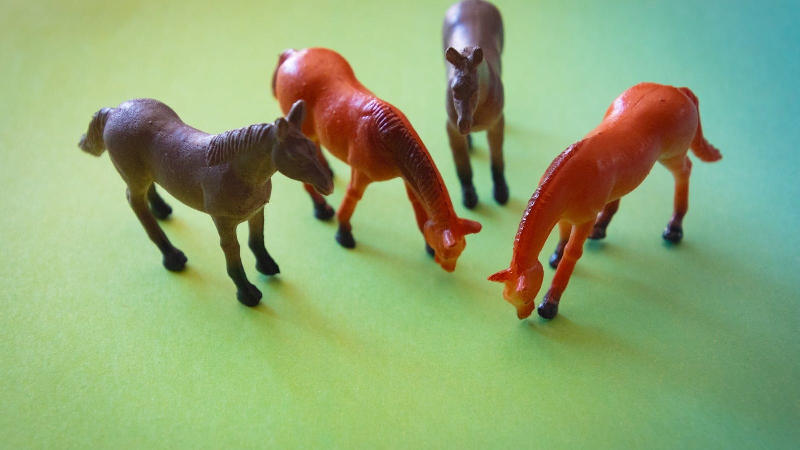 Petites figurines de chevaux colorées pour enfants